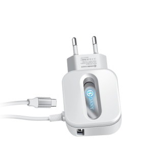 Dany H-87 (TYPE C QUICK CHARGER) - image 2